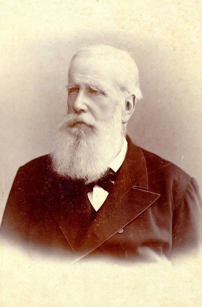 Pedro II by Hermann Witte